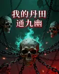 我的丹田通九幽 封面