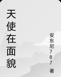 天使的面貌 封面