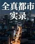 全真都市實錄 封面