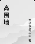 高圍牆 封面