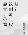 高武：你管這叫氪金皮膚？ 封面