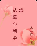 從掌心到塵埃 封面