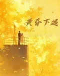 黃昏下遇 封面