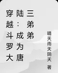 穿越斗羅大陸：成爲唐三弟弟 封面