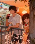 暗戀是偷偷拼湊的我 封面