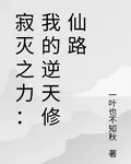 寂滅之力：我的逆天修仙路 封面
