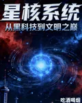 星核系統：從黑科技到文明之巔 封面