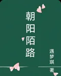 朝陽陌路 封面