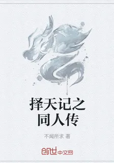 擇天記之同人傳 封面