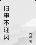 舊事不迎風 封面