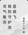 靈氣復甦：我的守護靈是路飛 封面