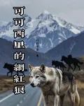 可可西里的網紅狼 封面