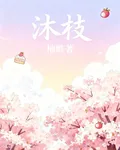 沐枝 封面
