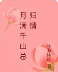 月滿千山總歸情 封面