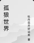 孤狼世界 封面