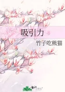 吸引力 封面