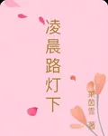 凌晨路燈下 封面
