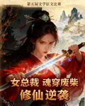 女總裁魂穿廢柴修仙逆襲 封面