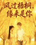 風過梧桐，緣來是你 封面