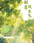 宋澈，別惹我生氣 封面