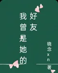 我曾是她的好友 封面