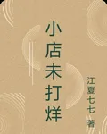 小店未打烊 封面
