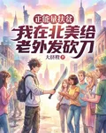 正能量扶貧我在北美給老外發砍刀 封面