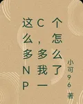 這麼多NPC，多我一個怎麼了 封面