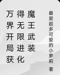 萬界開局獲得無限進化魔王武裝 封面