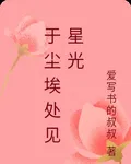 於塵埃處見星光 封面