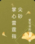 掌心雷霆指尖砂 封面