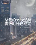 總裁的99次追悔：霧散時她已成 封面