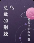 總裁的荊棘鳥 封面
