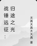 戰錘遠征：歸途之光 封面