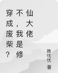 穿成廢柴？不，我是修仙大佬 封面