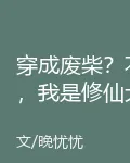 穿成廢柴？不，我是修仙大佬 封面