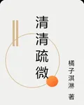 清清疏微 封面