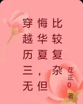 穿越歷三無悔華夏，但比較複雜 封面