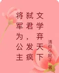 將軍爲公主弒君，發瘋文學棄天下 封面