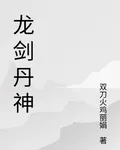 龍劍丹神 封面