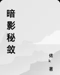 暗影祕斂 封面