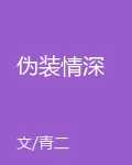 僞裝情深 封面
