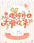 靈魂碎片之太難收集？ 封面