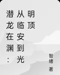 射鵰：從臨安到光明頂 封面
