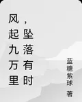 風起九萬里，墜落有時 封面
