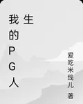 我的pg人生 封面