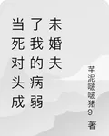 當死對頭成了我的病弱未婚夫 封面