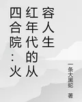 四合院：火紅年代的從容人生 封面