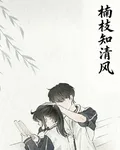 楠枝知清風 封面