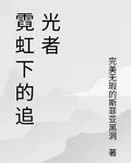 霓虹下的追光者 封面